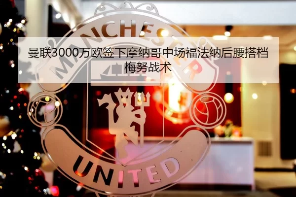 曼联3000万欧签下摩纳哥中场福法纳后腰搭档梅努战术